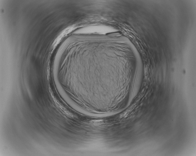 X0000085790054200704131905