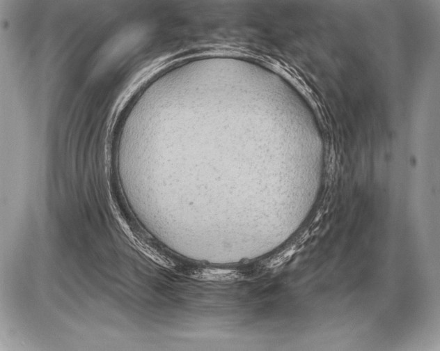 X0000085790055200704131905