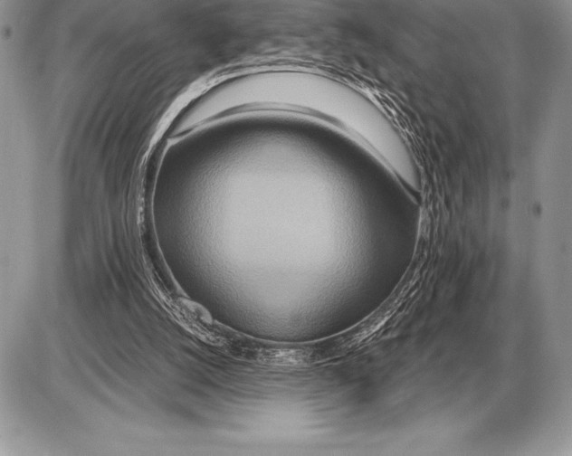 X0000085790056200704131905