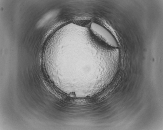 X0000085790059200704131905