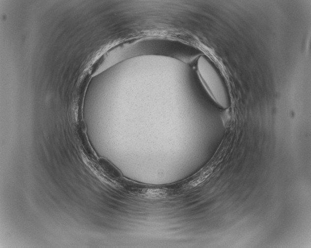 X0000085790060200704131905