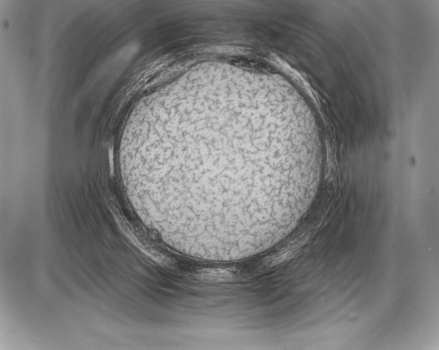 X0000085790061200704131905