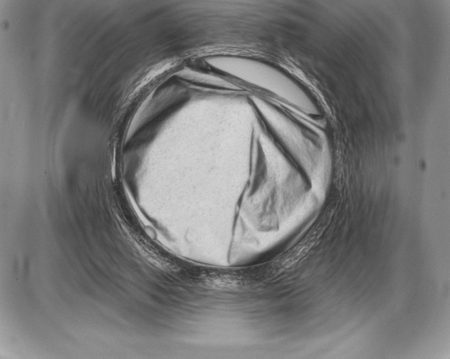 X0000085790062200704131905
