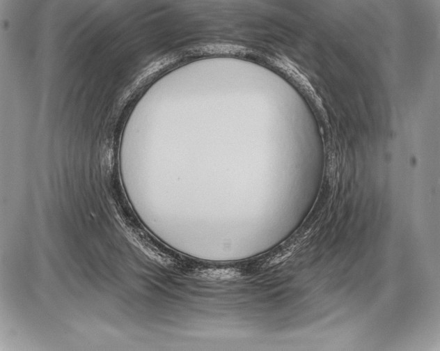 X0000085790063200704131905