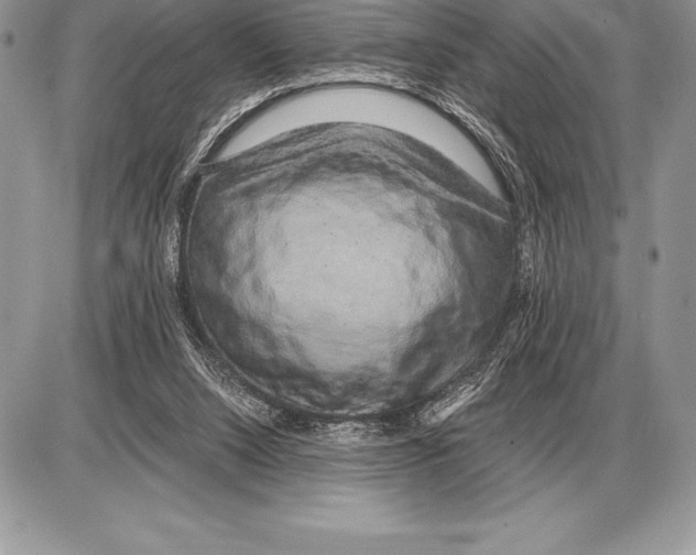 X0000085790064200704131905