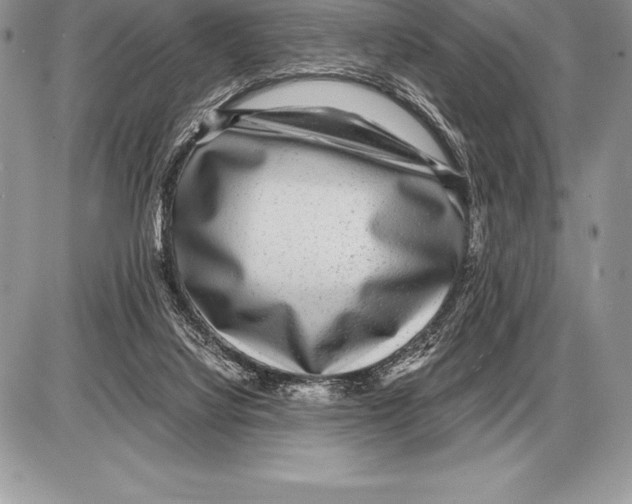X0000085790068200704131905