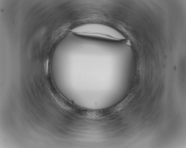 X0000085790070200704131905