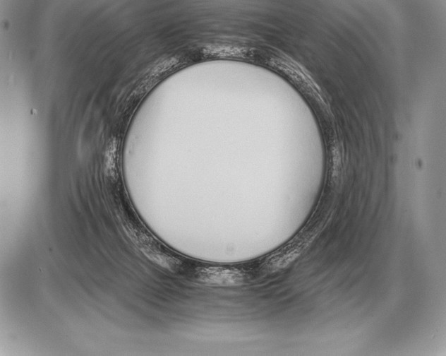 X0000085790073200704131905