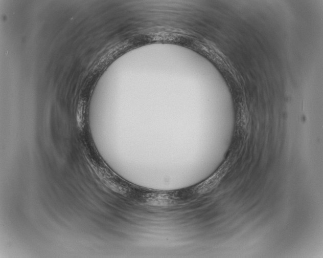 X0000085790074200704131905