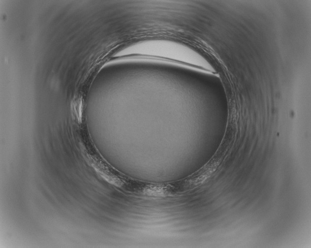X0000085790076200704131905