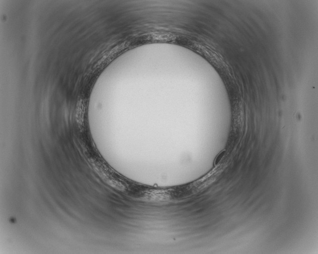 X0000085790078200704131905