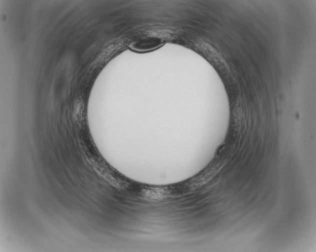 X0000085790079200704131906
