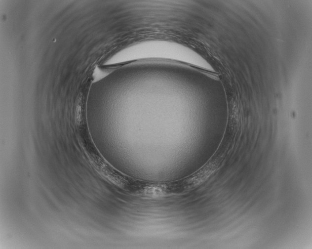 X0000085790080200704131906
