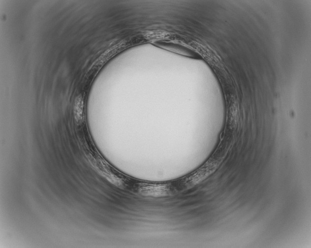 X0000085790081200704131906