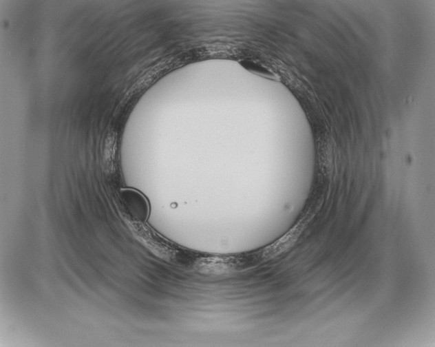 X0000085790082200704131906