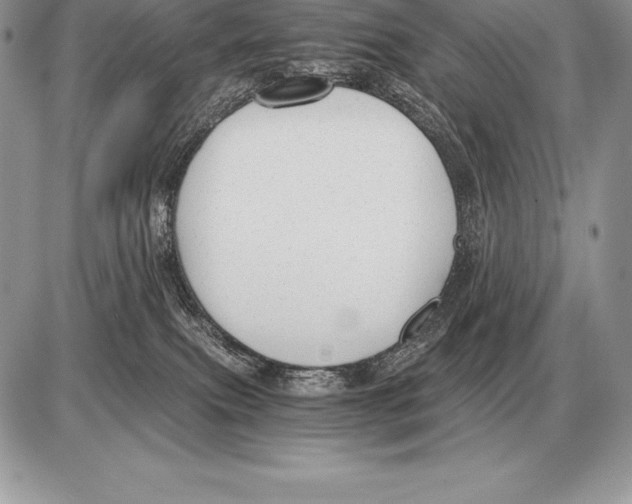 X0000085790087200704131906