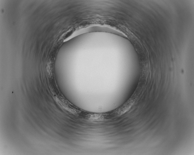 X0000085790088200704131906