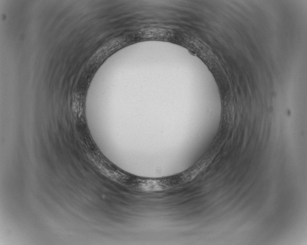 X0000085790091200704131906