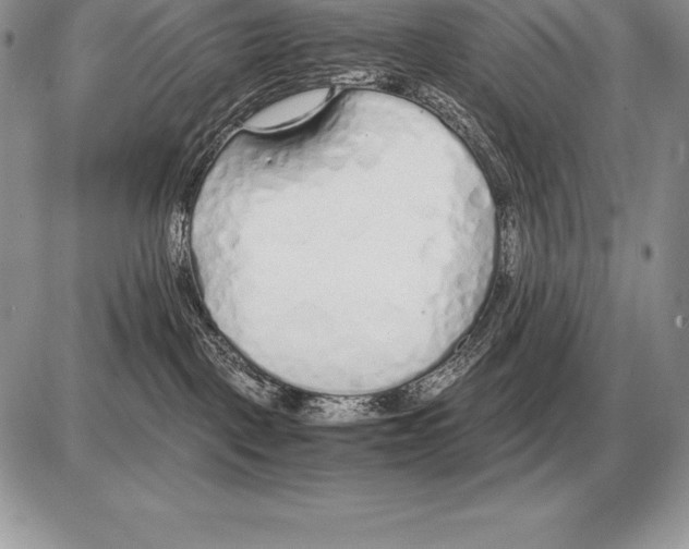X0000085790093200704131906