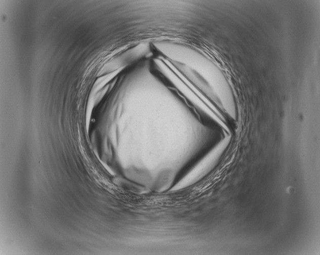 X0000085790097200704131905