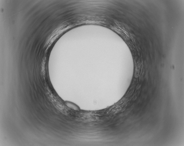 X0000085790098200704131905
