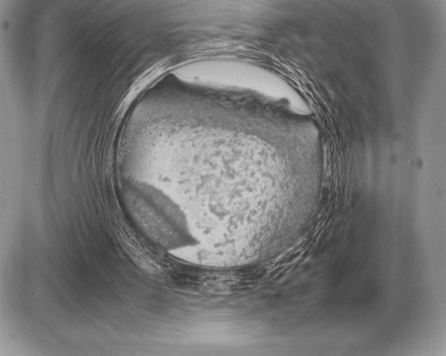 X0000085790099200704131905