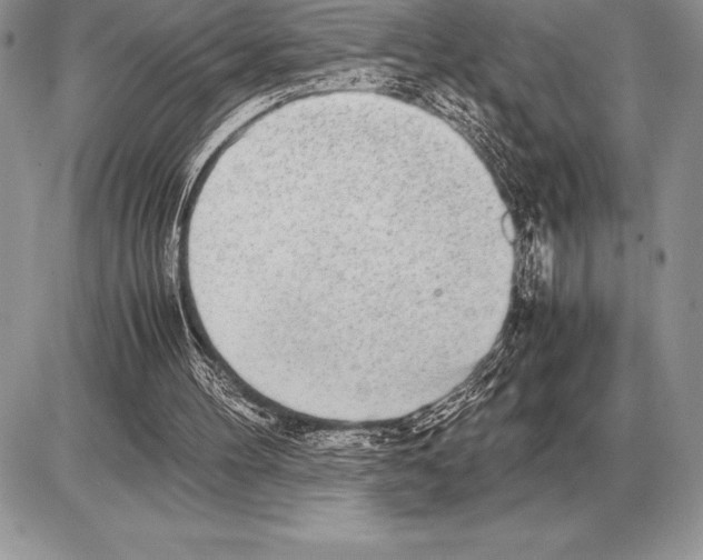 X0000085790100200704131905