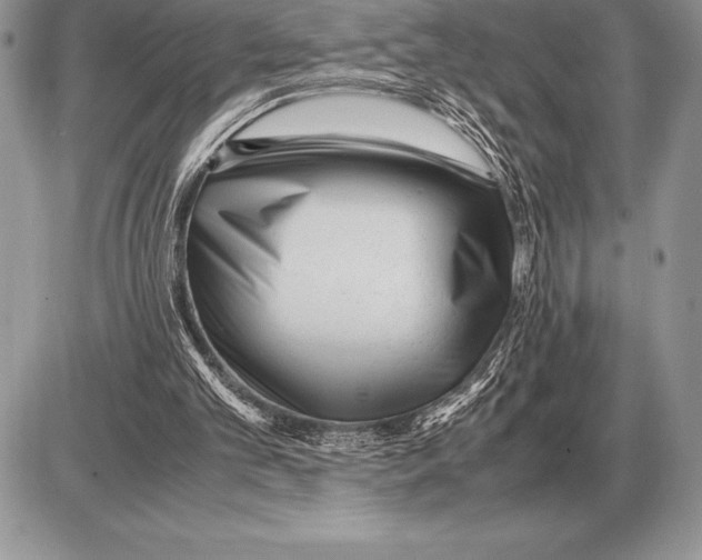 X0000085790101200704131905