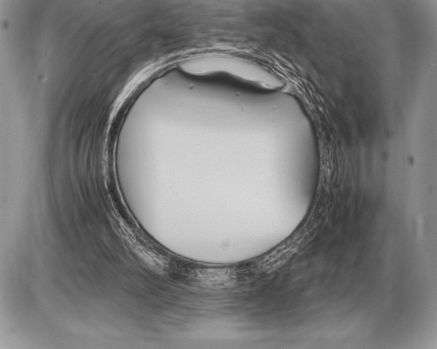 X0000085790102200704131905