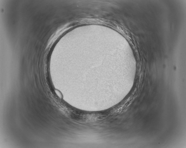 X0000085790103200704131905