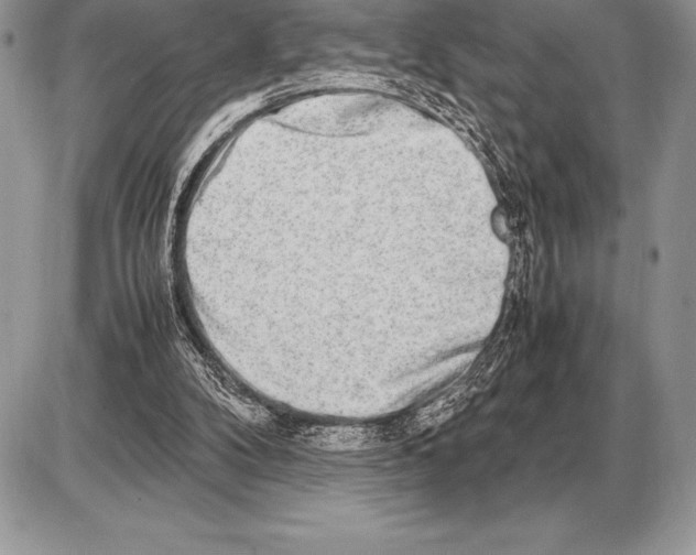 X0000085790104200704131905