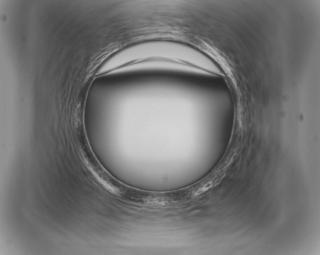 X0000085790105200704131905
