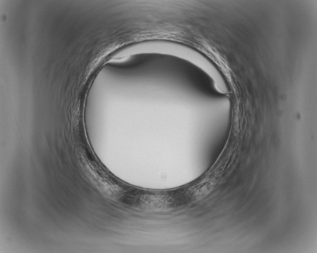 X0000085790107200704131905