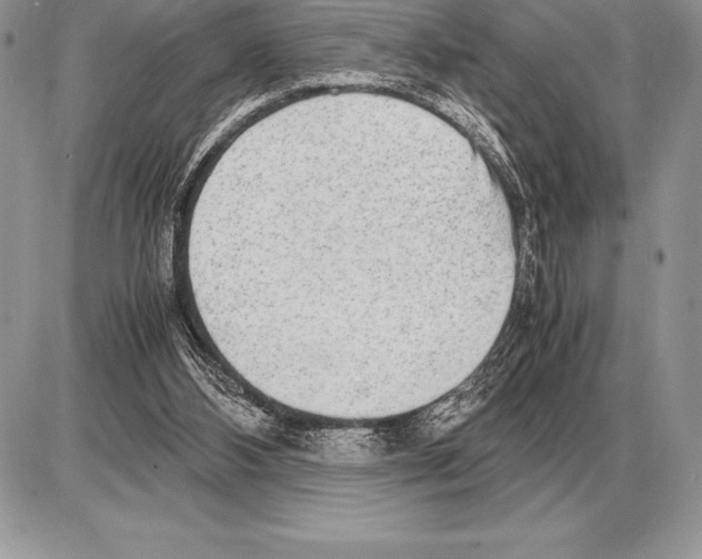 X0000085790108200704131905