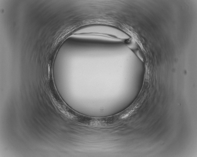 X0000085790109200704131905