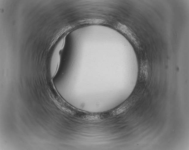 X0000085790110200704131905
