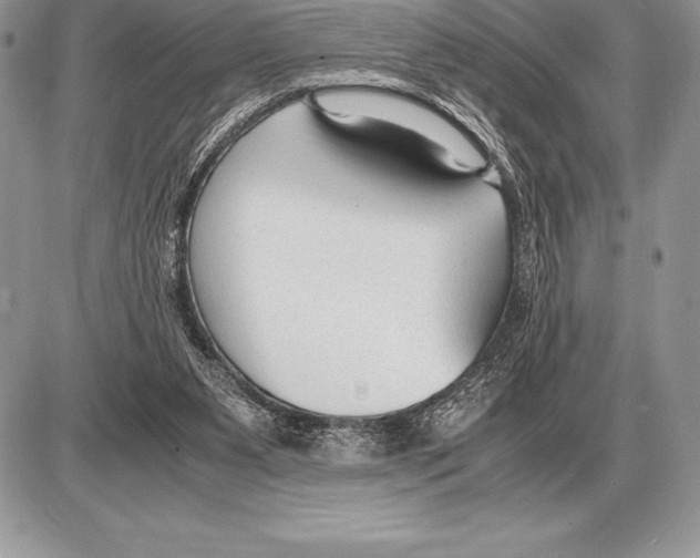 X0000085790111200704131905