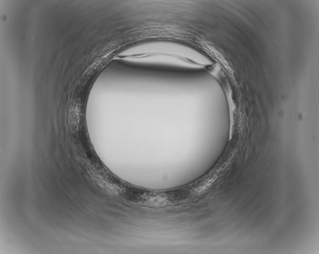 X0000085790113200704131905