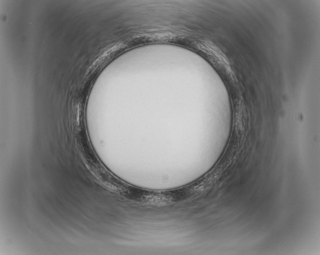 X0000085790115200704131905