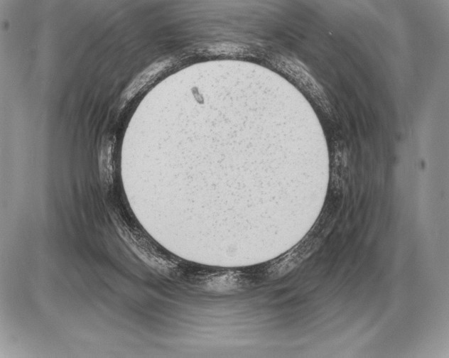 X0000085790116200704131905