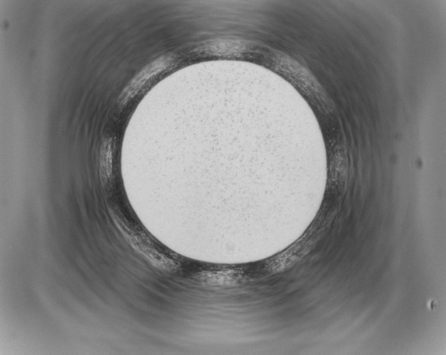 X0000085790120200704131905