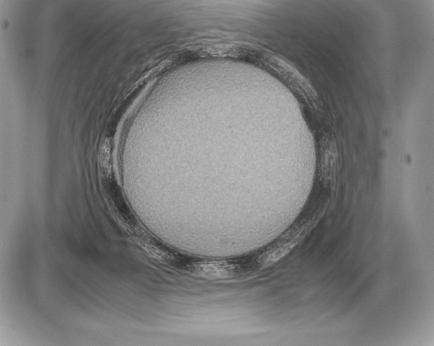 X0000085790121200704131905