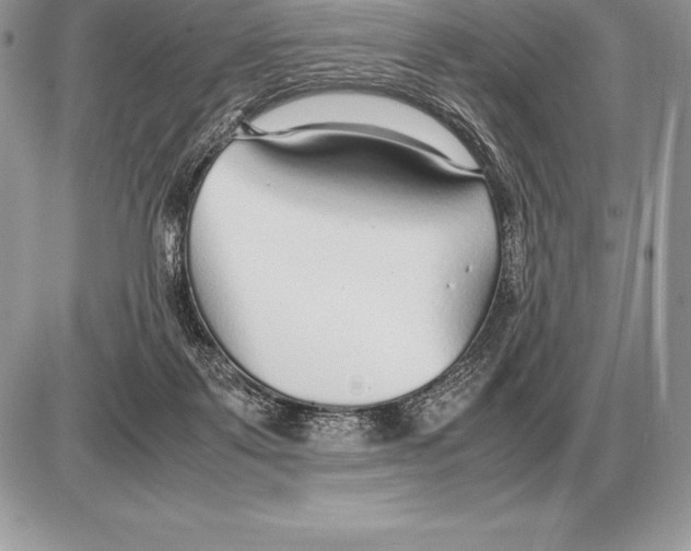 X0000085790123200704131905