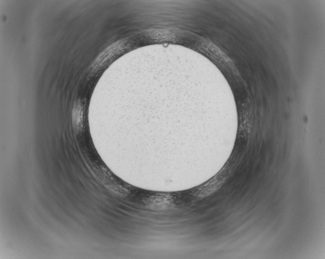 X0000085790124200704131905