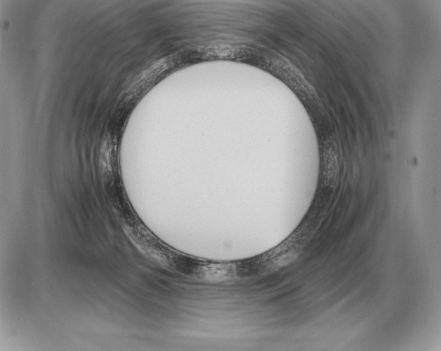 X0000085790126200704131905