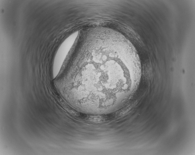 X0000085790127200704131904