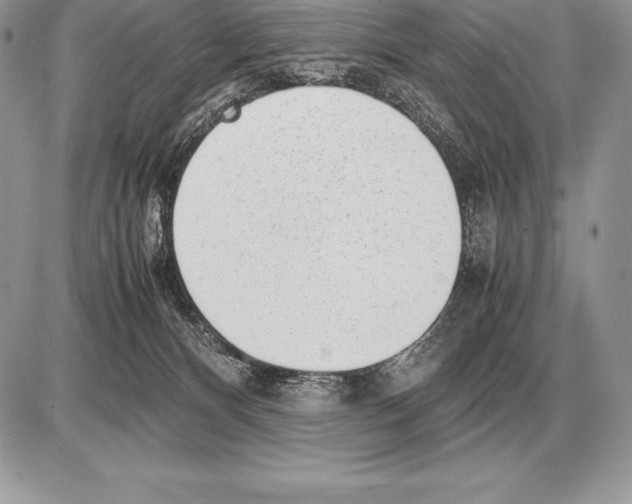 X0000085790128200704131904