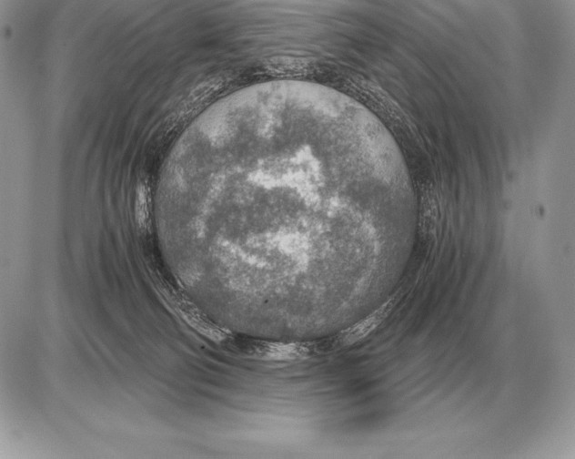 X0000085790130200704131904