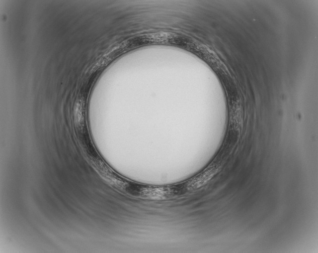 X0000085790131200704131904