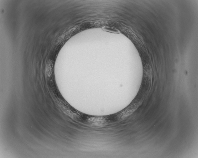 X0000085790133200704131904
